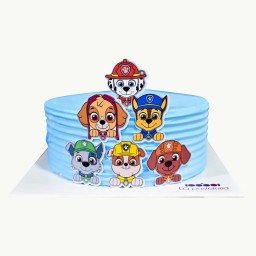 Pastel paw patrol boy